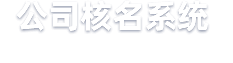 公司核名系统